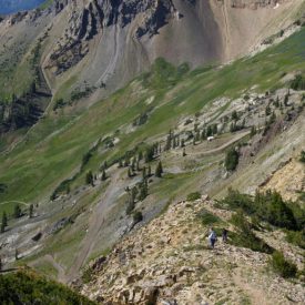DSC_4949-585x880