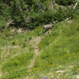 DSC_5279-585x880